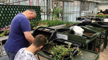 Planting at The Greenhouse - Stapenhill.JPG