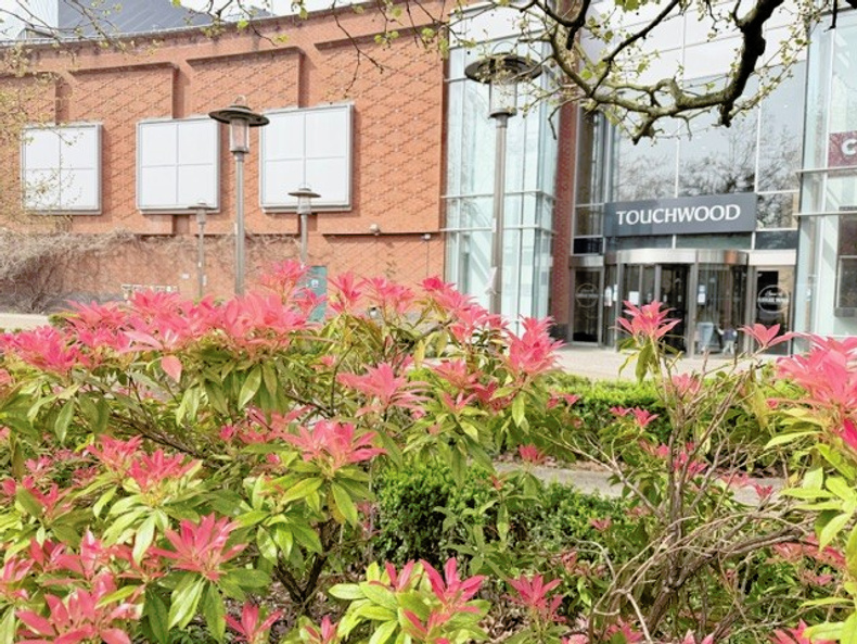 bee friendly planting.jpg