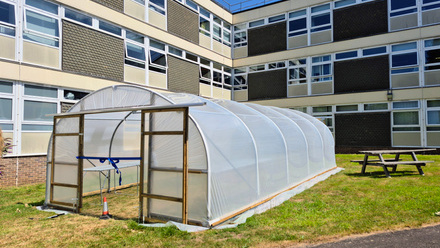 Polytunnel .jpg