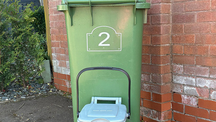 Green bin and food caddy.jpg