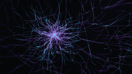 Motor Neurone Disease 