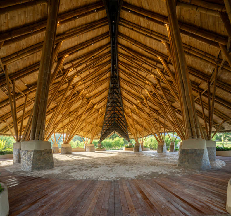 Bamboo summit