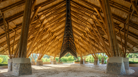 Bamboo summit