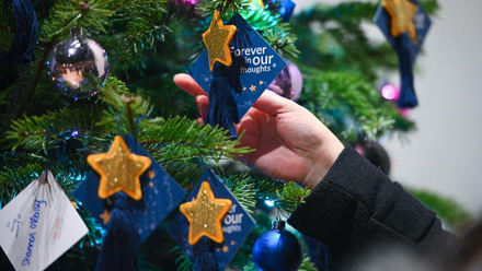 Acorns Star RH 021222-066.JPG