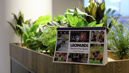 Leopard calendar.JPG 1