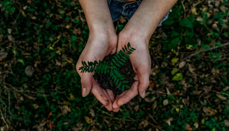 noah-buscher-x8zstuks2pm-unsplash(896989)
