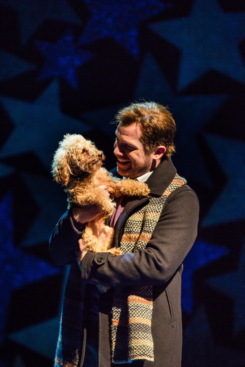 cracker-the-dog(899346)