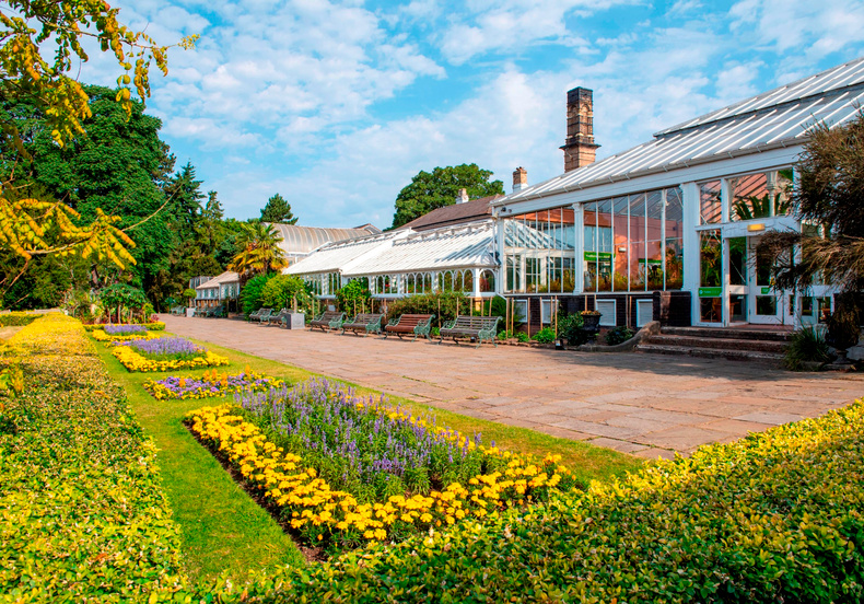 birmingham-botanical-gardens-glasshouses-whitefoot-photography(899703)