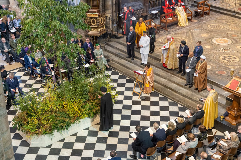 abbey-trees-of-life(899899)