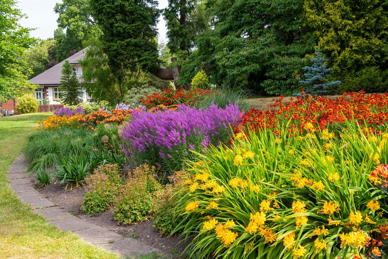 herbaceous-border(904108)