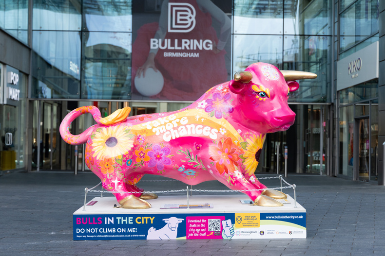 BH_Bulls_Launch_01 (1).jpg