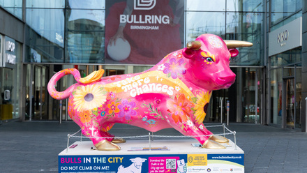 BH_Bulls_Launch_01 (1).jpg