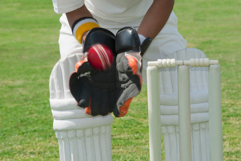 cricket-bias(894884)