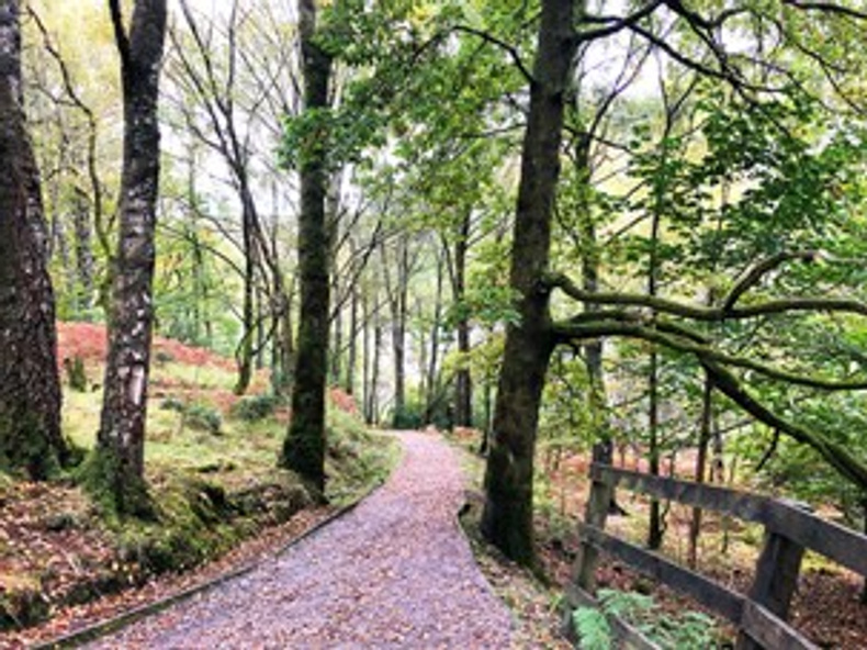 smallwoods-1(903935)