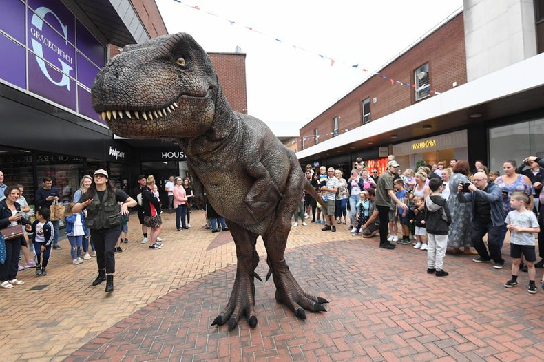 sutton-t-rex(899327)