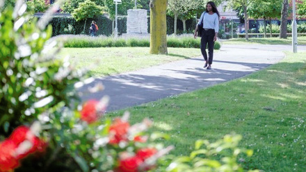 aston sustainability rankings.jpg