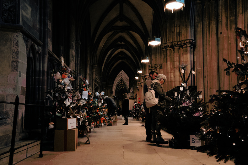 Lichfield Cathedral Christmas Tree Festival DSC07777_c Thomas Purkis.jpg