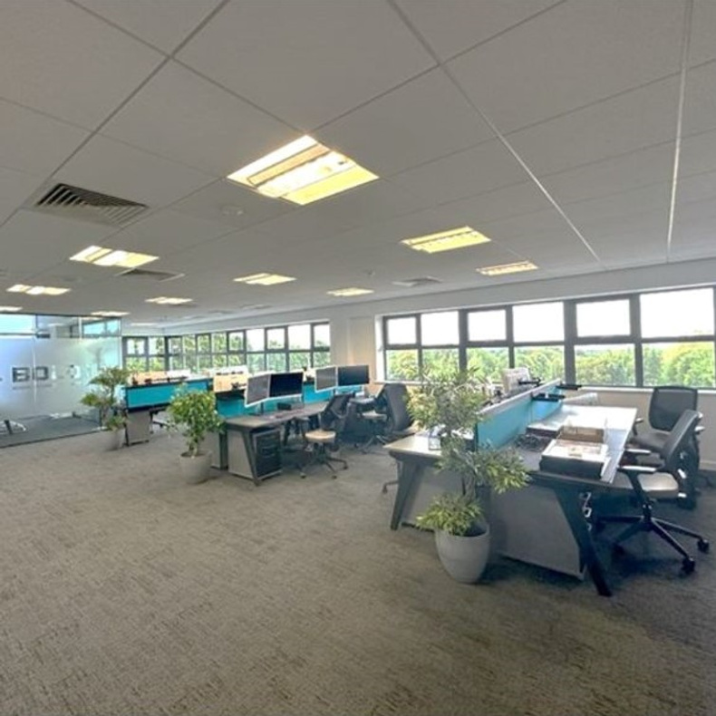 bold-it-office(904834)