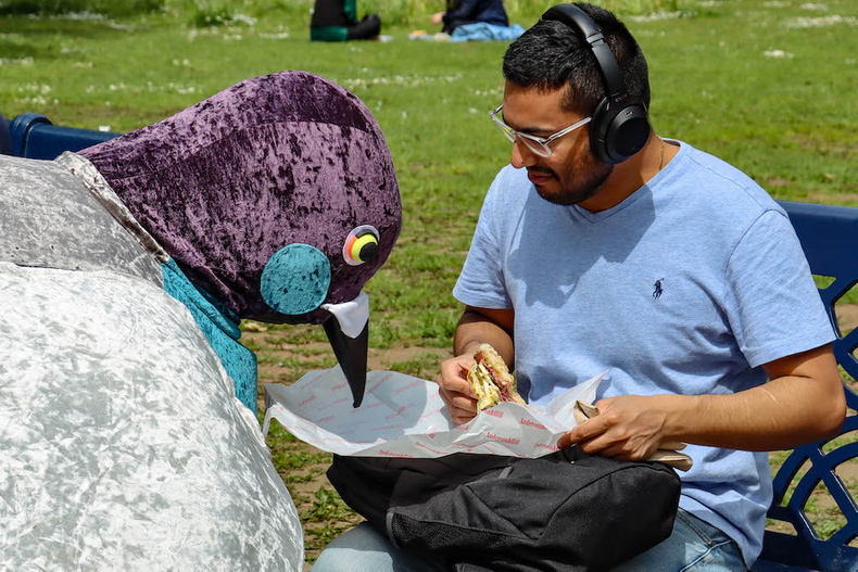cbd-city-worker-kaj-enjoys-lunch-with-food-festival-pigeons-pic-2(903879)