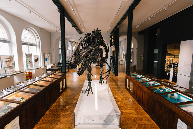 lapworth-museum-uob(898961)
