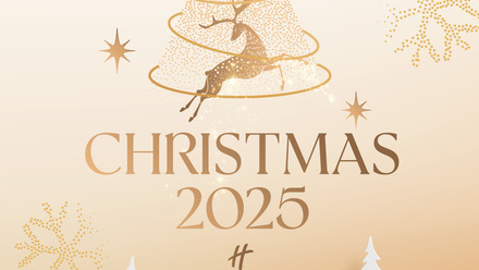Holiday+Inn+Birmingham+Christmas+Event+Social+Graphics+-+Christmas+Booking+-+Grid.jpg