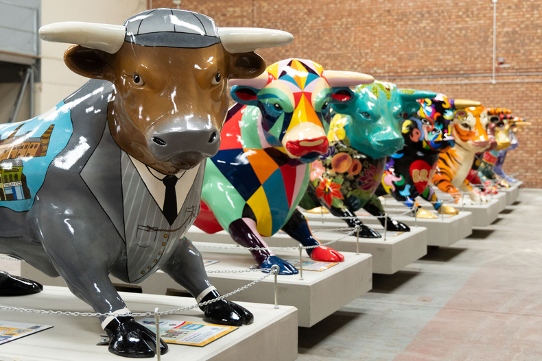 Bulls.jpg