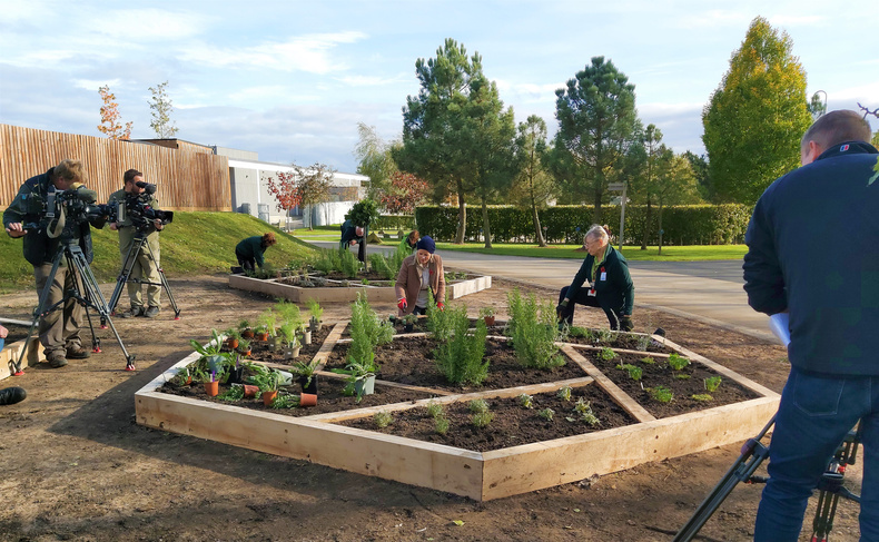 countryfile-at-the-national-memorial-arboretum(894741)