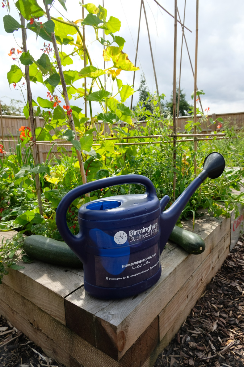 biz-park-allotment(899427)