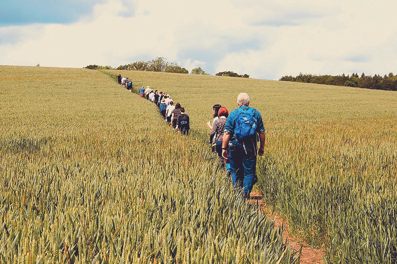 Carers Walk.jpg