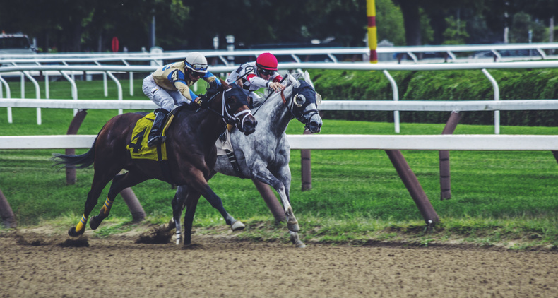 horses(901589)