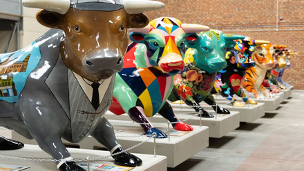 bulls in the city auction.jpeg