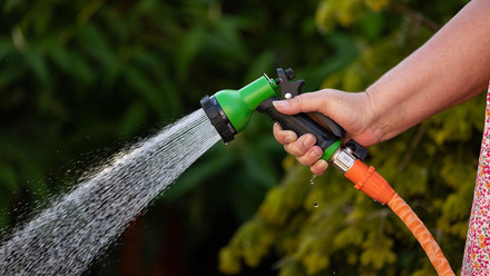 garden-hose-6302165_1280.jpg