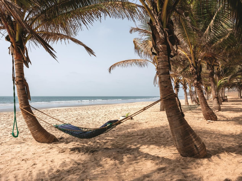 the-gambia-bhx.jpg