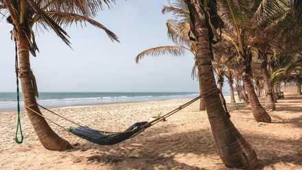 the-gambia-bhx.jpg
