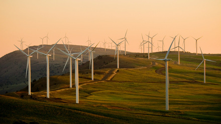 Wind farm
