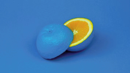 W2+P1.jpg