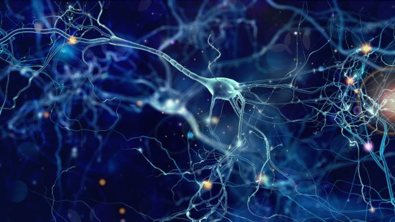 neurons(899781)