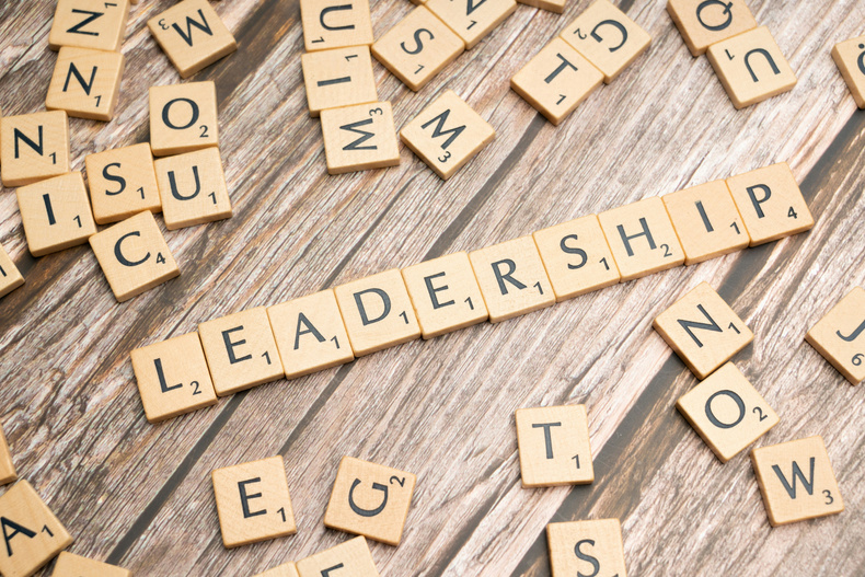 Leadership stock