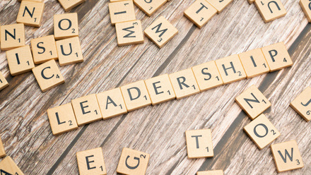 Leadership stock