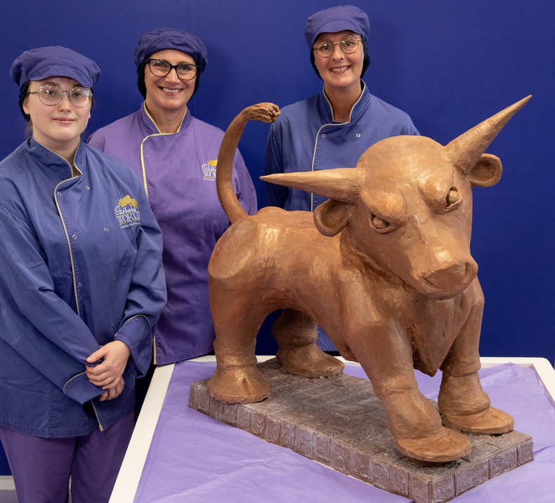 chocolate-bull(898893)