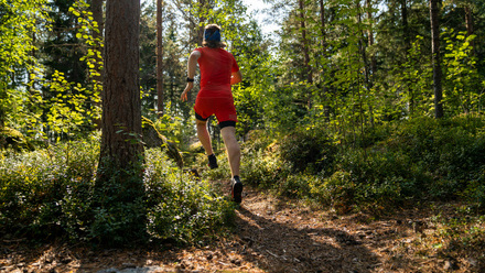Trail stock 1