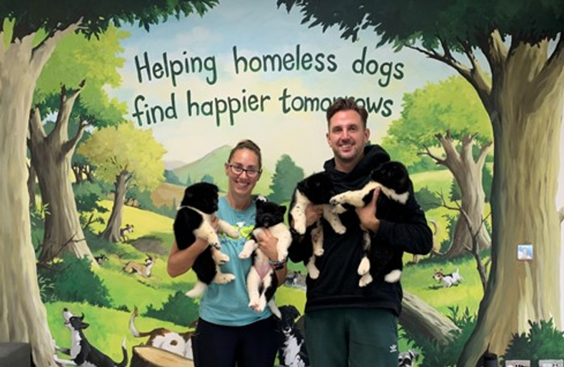 birmingham-dogs-home-breakfast(904828)