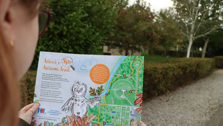 Arbie Autumn trail.jpg