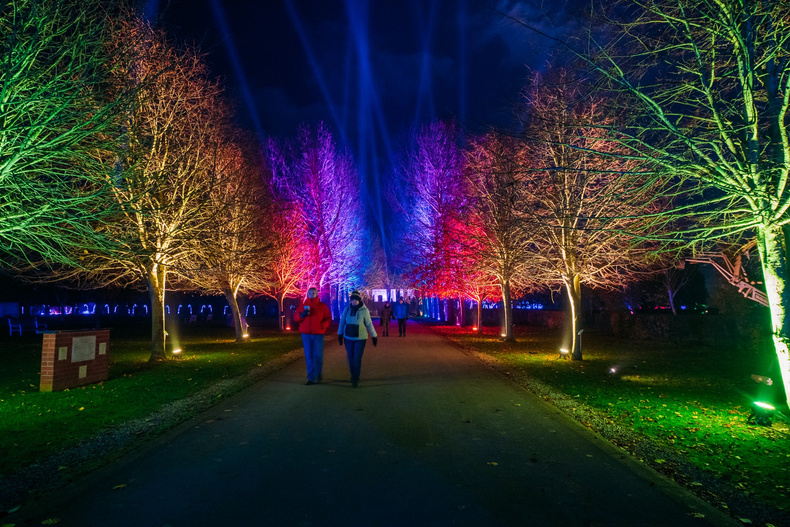 Light trail.jpg