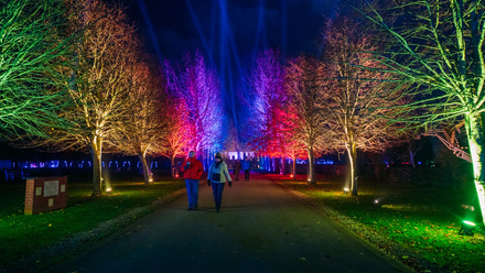 Light trail.jpg