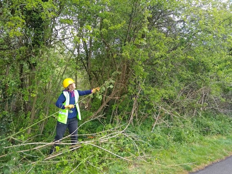 community-green-grant(897932)