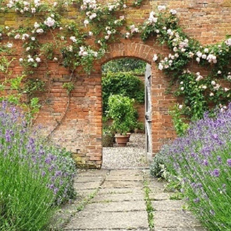 hall-gardens(897132)