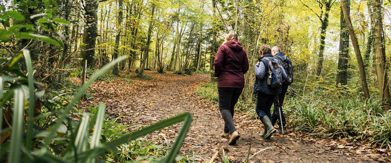 Cannock-heritage-trail.jpg