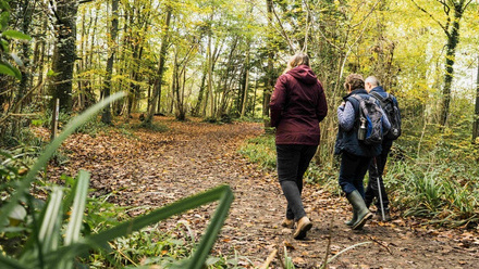 Cannock-heritage-trail.jpg