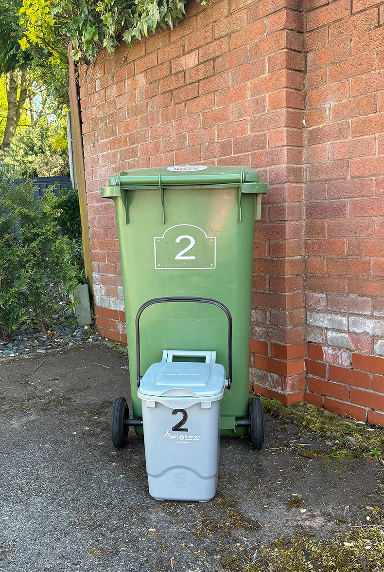 Green bin and food caddy.jpg